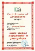 Сертификат отделения Шолохова 11Б