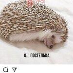 Оксана Желнова