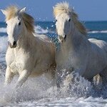 Наталья Радионова