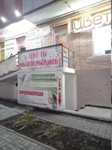 Фотография Апекс 0