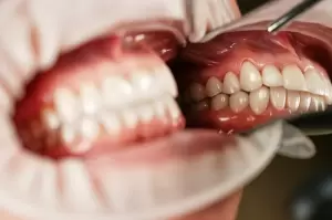 Фотография Виктория 1