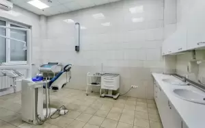 Фотография Стомадент 2