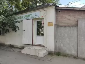 Фотография Без боли 1