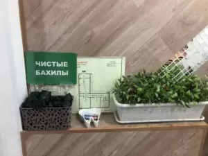 Фотография Жемчужина 3