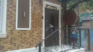 Фотография Основа 2