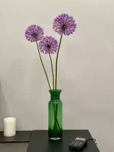 Фотография Зубновъ 4