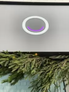 Фотография Зубновъ 2